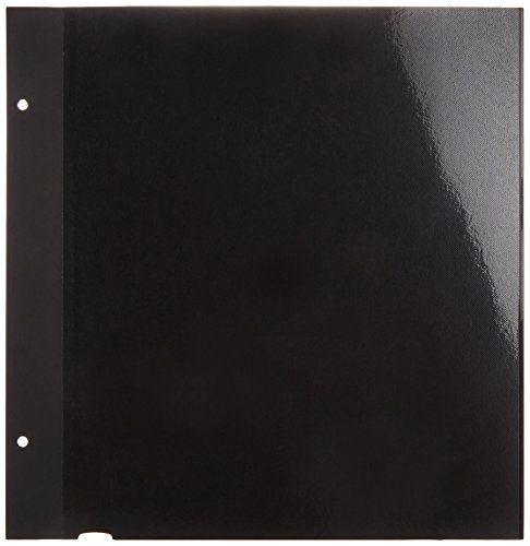 ナカバヤシ 100年台紙フリー アルバム替台紙 Lサイズ ブラック アH-LFR-5-D [並行輸入品]