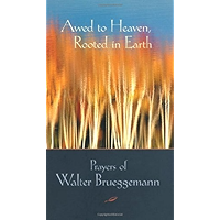 Awed to Heaven, Rooted in Earth: Prayers of Walter Brueggemann book cover