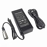 24V 2A XLR Electric Scooter Battery Charger for Go-Go Elite Traveller Plus HD US, Ezip Mountain Trailz, Jazzy Power Chair