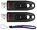 SanDisk 256GB (Two Pack Bundle) USB 3.0 Flash Ultra Memory Drive (SDCZ48-256G-U46) - with (1) Everything But Stromboli (tm) Lanyard