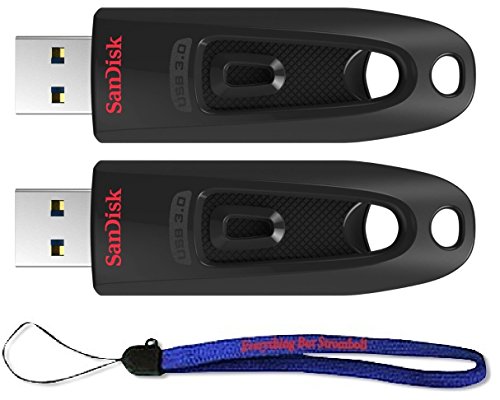 SanDisk 256GB (Two Pack Bundle) USB 3.0 Flash Ultra Memory Drive (SDCZ48-256G-U46) - with (1) Everything But Stromboli (tm) Lanyard