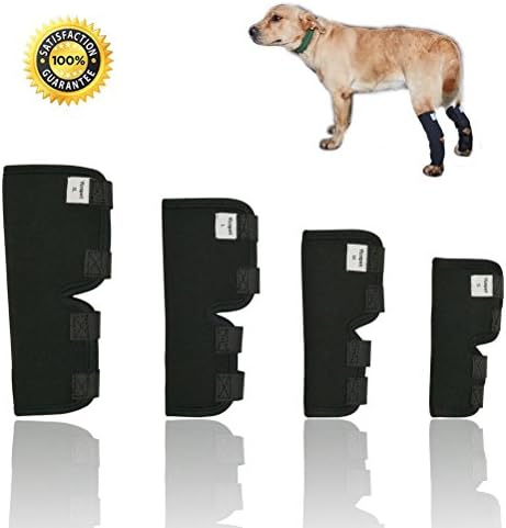 Yizepet Dog Brace, Dog Canine Rear Leg Hock Joint Wrap Protects Wounds when Heals Prevents Injuries and Sprains Helps with Loss of Stability Caused by Arthritis (M)