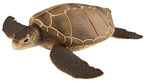 Safari Ltd. Green Sea Turtle - Realistic Hand Painted Toy Figurine Model - Quality Construction from Phthalate, Lead and BPA Free Materials - For Ages 3 and Up