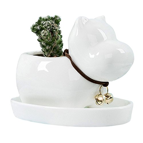 GeLive Decorative Hippo Planter White Mini Ceramic Plant