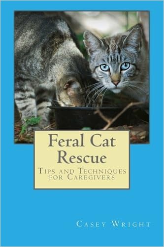 rescuing feral cats