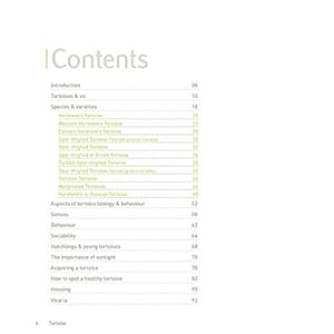 Tortoise (Pet Expert)