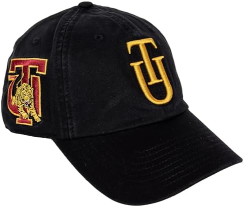 Amazon.com: Desert Cactus Northern Arizona University Baseball Hat