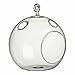 Hinterland Trading Hanging Glass Round Terrarium for Decoration