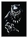 Marvel Black Panther Character Men's Black T-Shirt (X-Large)