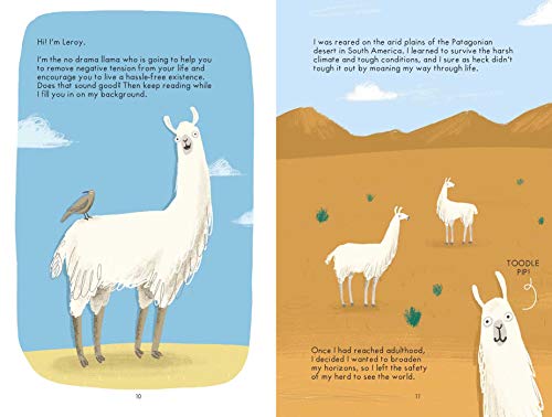 No Drama Llama: Drop the drama and start leading a no-nonsense lifestyle
