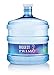 Primo 3 Gallon Water Jug, Empty and Reusable