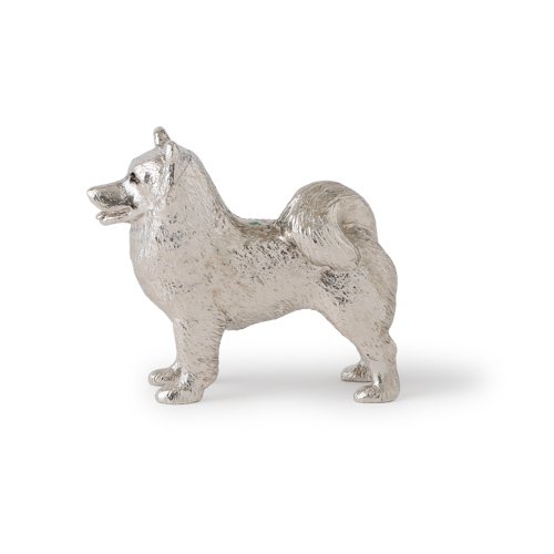 Samoyed