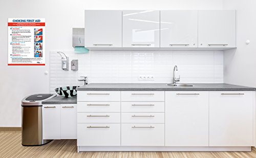 Choking First Aid Poster - Choking Victim Poster - Choking Poster for Restaurants - First Aid Poster - coolthings.us