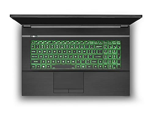 Prostar NH77DDW 17.3 Inch FHD 144Hz, Intel i7-10875H, RTX 2060, 32GB 3200Mhz, 1TB NVMe SSD, Windows 10 Home, Slim Bezel Gaming Laptop