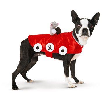 Petco Halloween Racecar Dog Costume, X-Small