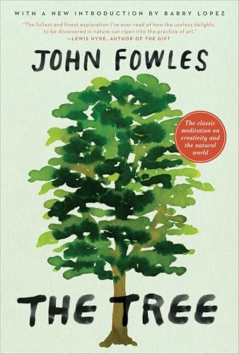Amazon.com: Mantissa eBook : Fowles, John: Kindle Store