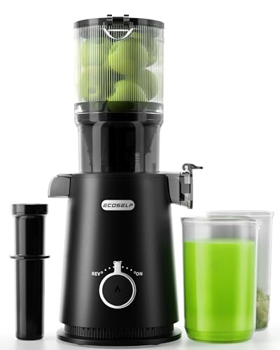 Cold Press Juicer Easy to Clean by ECOSELF - Used condition - US$230.62