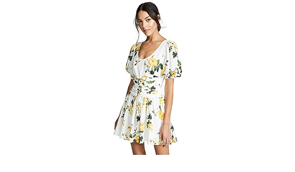 steele sofia bustier dress