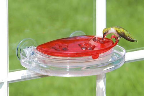 Aspects Jewel Box Hummingbird Feeder #407 Window Feeder