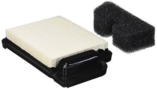 Stens 055-441 Air Filter Combo, Black
