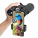 Cayzor 12x42 Binoculars for Adults Compact Clear HD Weak Light Vision Bird Watching - Professional for Travel Stargazing Hunting Concerts Sports - BAK4 Prism FMC Lens Strap Carrying Bag
