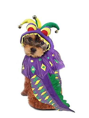 Mardi Gras Deluxe Dragon Jester Costume for Dogs by Puppe Love