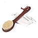 Tradition Craft Dry Skin Body Brush with Long handle 15inch for Bath, Shower-Natural Plant Bristle, Beech Wood-Remove Dead Skin, Body Scrubber