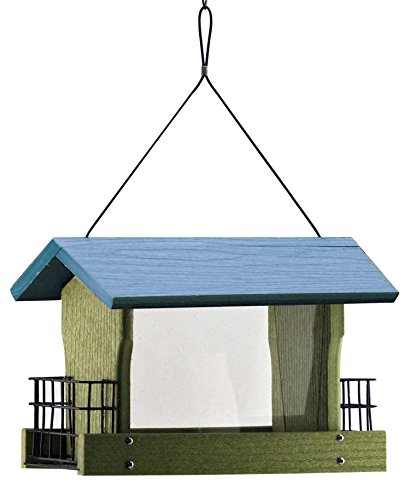 Going Green™ Large Ranch with Suet Feeder