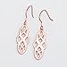 Owl Earrings Sterling Silver Moonstone Owl Dangle Earrings Jewelry Gifts for Women Teens