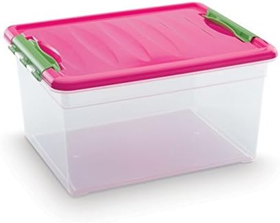 Plastic Forte - Caja de ordenación n 9 12 litros: Amazon.es: Hogar