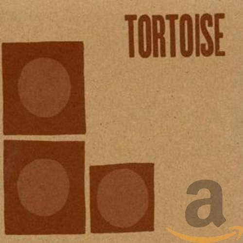 Tortoise