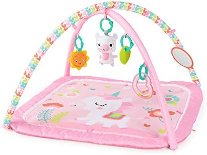 Bright Starts Daydream Blooms Activity 