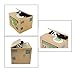 Ziv Coin Bank, Unique Gadgets & Toys Stealing Money Piggy Bank, Panda Piggy Bank (Panda)