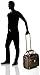 LONDON FOG Kensington15-Inch 2-Wheel Under The Seat Bag, Bronze, 15-Inch