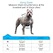 BABYLTRL Silver Big Dog Harness No-Pull Anti-Tear Adjustable Pet Harness Reflective Oxford Material Soft Vest for Medium Large Dogs Easy Control Harness (XL, Silver)