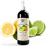 Natural Chew Deterrent Training Aid Spray for Dogs - 16 FL OZ (473 mL)