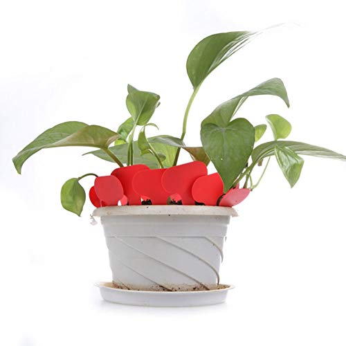 MELITOTO Cinta de Respaldo Plano - 100 Etiquetas de plástico para ...