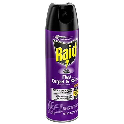 Raid Flea Killer Carpet and Room Spray, 16 OZ (Pack 1) Pricepulse