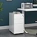 DEVAISE White File Cabinet, Small Filing Cabinet with 3 Drawers with Slim Width for Home Office, Rolling Under Desk Cabinet (11.8 inch)