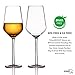 MICHLEY Unbreakable Large Wine Glasses, 100% Tritan Plastic Shatterproof Wine Glasses, BPA-free, Dishwasher-safe 13.7 oz, Set of 2