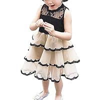 NNJXD Girl Lace Sleeveless Ruffles Tutu Party Dress Size (100) 5-6 Years Champagne