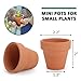 GROWNEER 48-Pack 2” Mini Clay Pots Terracotta Pot with 25 Pcs Plant Labels, Ceramic Pottery Planter Cactus Succulent Nursery Pots, for Indoor Outdoor Plants, Crafts, DIY, Wedding Favor