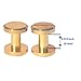 DGOL 50 Pairs Brass Backscrews Golden Leather Fasteners Sturdy Binding Rivets Belt Strap Collar Back Screws PU Studs Length (0.315 inch (8mm))