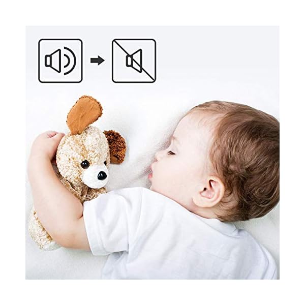 Toshiba-800-w-20-L-Microwave-Oven-with-8-Auto-Menus-5-Power-Levels-Mute-Function-and-LED-Cavity-Light-Black-MW2-AM20PFBK Toshiba 800w 20L Microwave Oven with 8 Auto Menus, 5 Power Levels, Mute Function, and LED Cavity Light - Black - MW2…