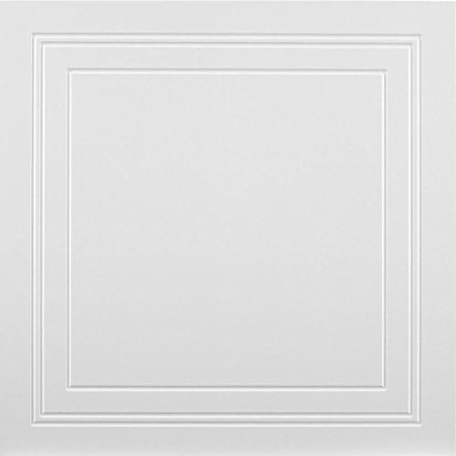 MONO SERRA Wall Design 2 ft. x 2 ft. Encore Suspended Grid Panel Ceiling Tile (32 sq. ft. / case)