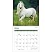 Horses Mini Wall Calendar 2017