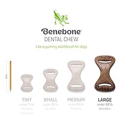Benebone Dental Durable Dog Chew Toy for Aggressive