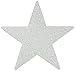 Star Cutouts | Silver | Pack of 5 | Party Decor
