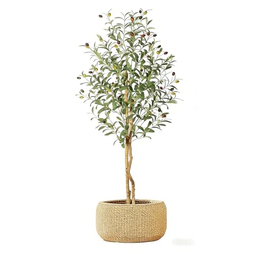 Garvee 150cm Artificial Olive Tree, Faux Plant with Natural Wood Trunks, 864 UV-Resistant Silk Leaves, White Ceramic Pot with Weighted Base, Farmhouse Floor Decor for Living Room, Entryway, Office