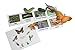 Montessori Butterfly Life Cycle Animal Match Cards and Figurines. Nomenclature Science Work Teaching